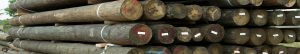 6-Products-Found-at-Quality-Lumber-Yards-in-the-Houston-Area