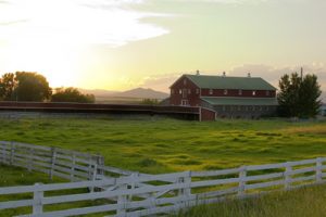 farm_fence