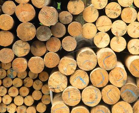 Image of Fire Resistant Lumber