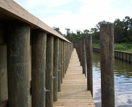 Image of House Pilings