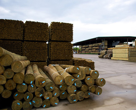 Image of Treated Pilings